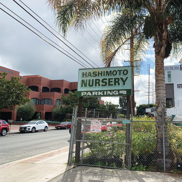 Hashimoto Nursery
